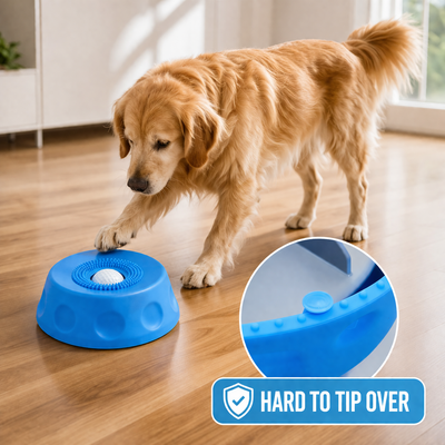 Paw District™ RoverLick Bowl